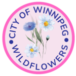 WINNIPEG WILDFLOWERS